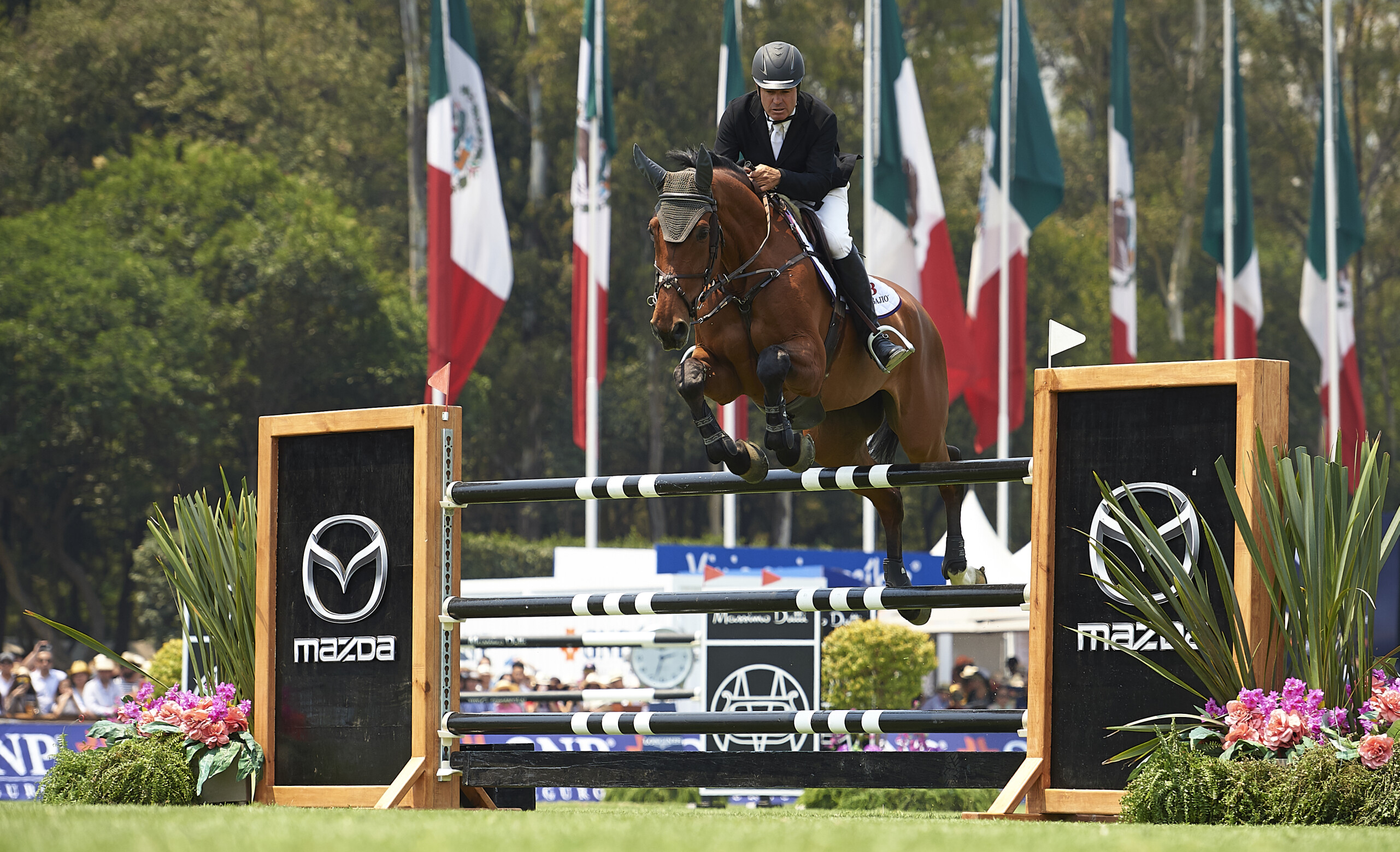 Jerome Guery (c) Manuel Queimadelos