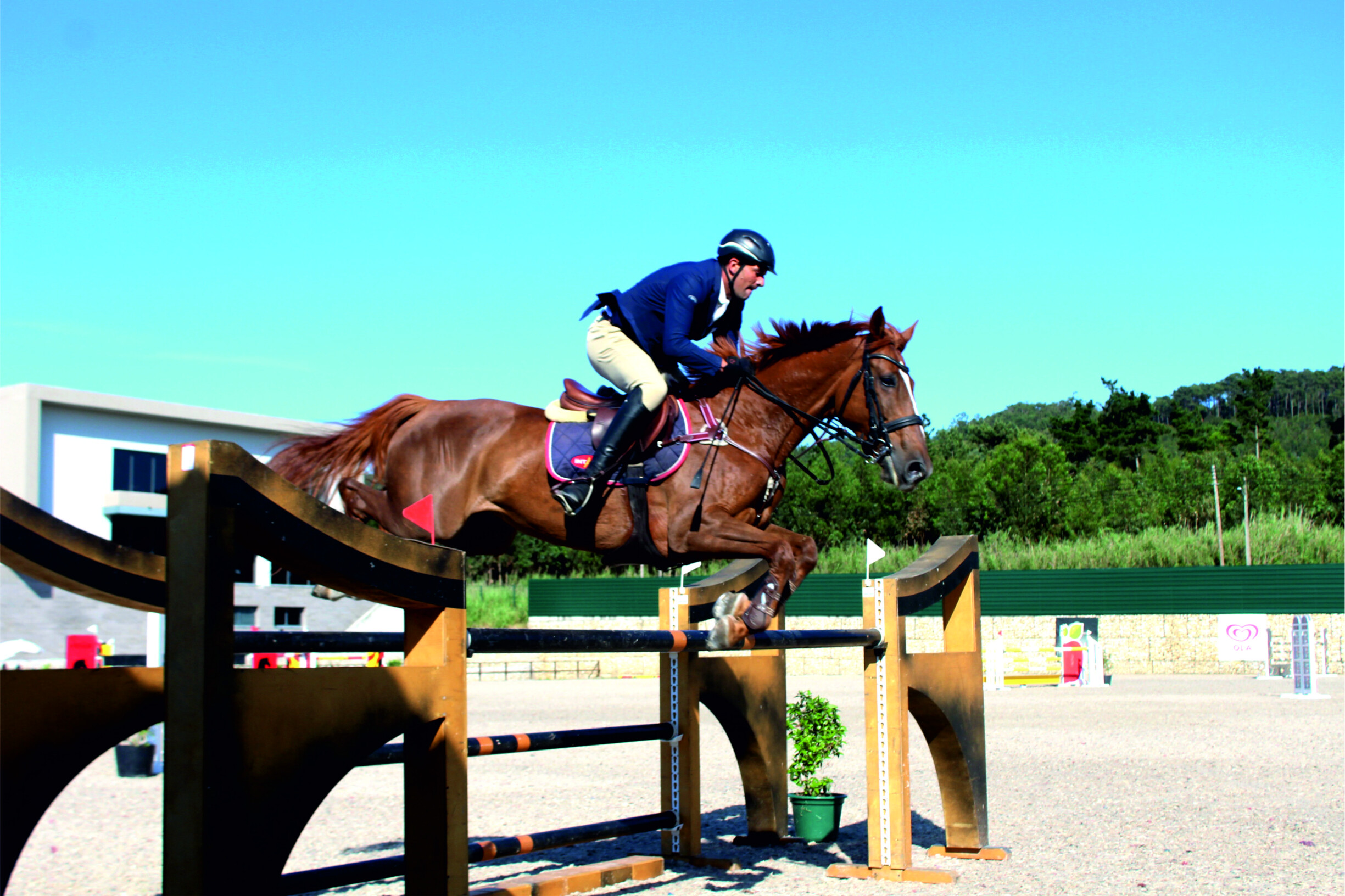 HUGO CARVALHO COM CROWN LADY.jpg