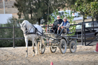 Atrelagem Adaptada no Centro Hípico da Sobreda