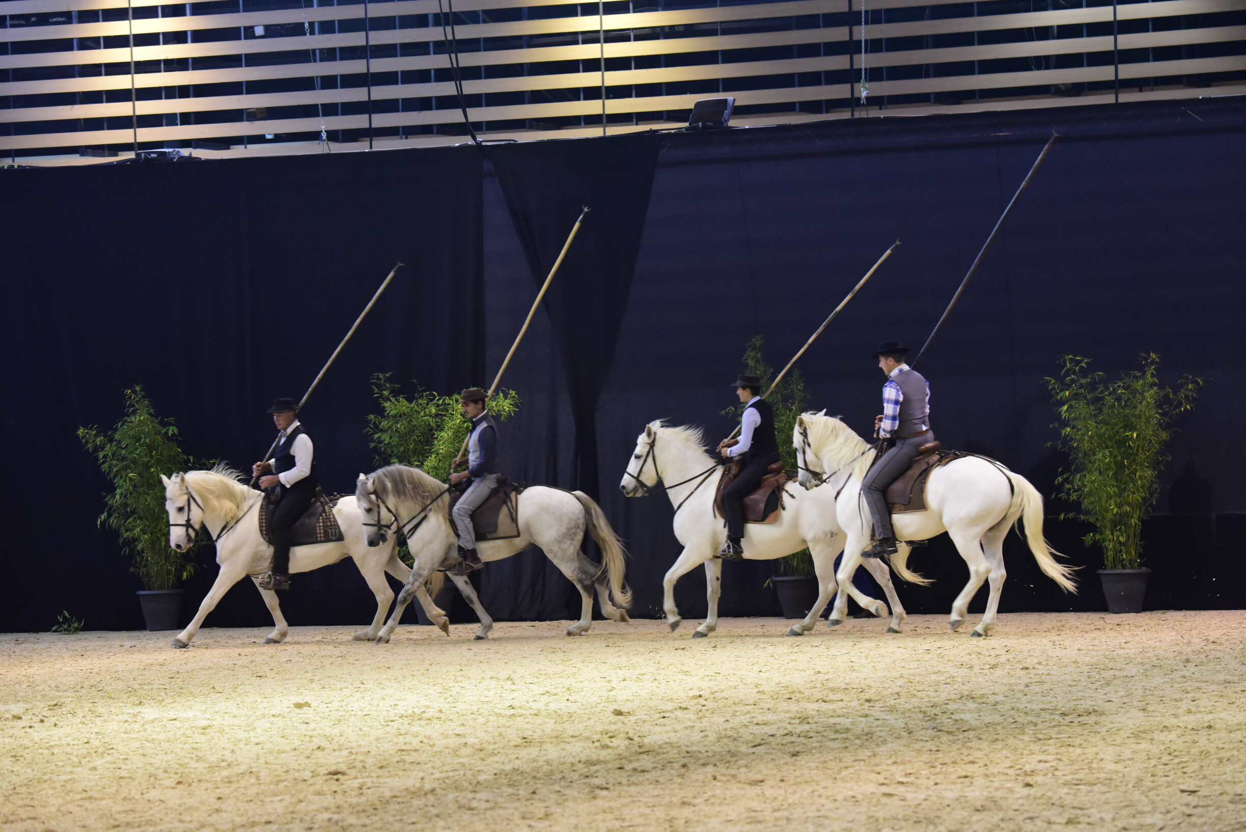equita lyon