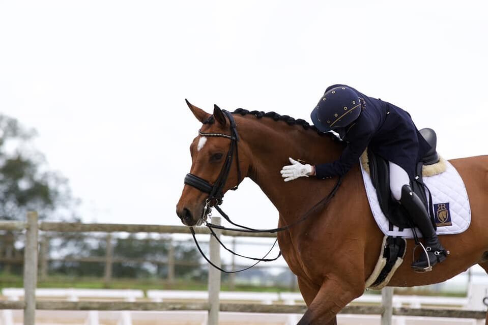 foto de centro equestre joão cardiga