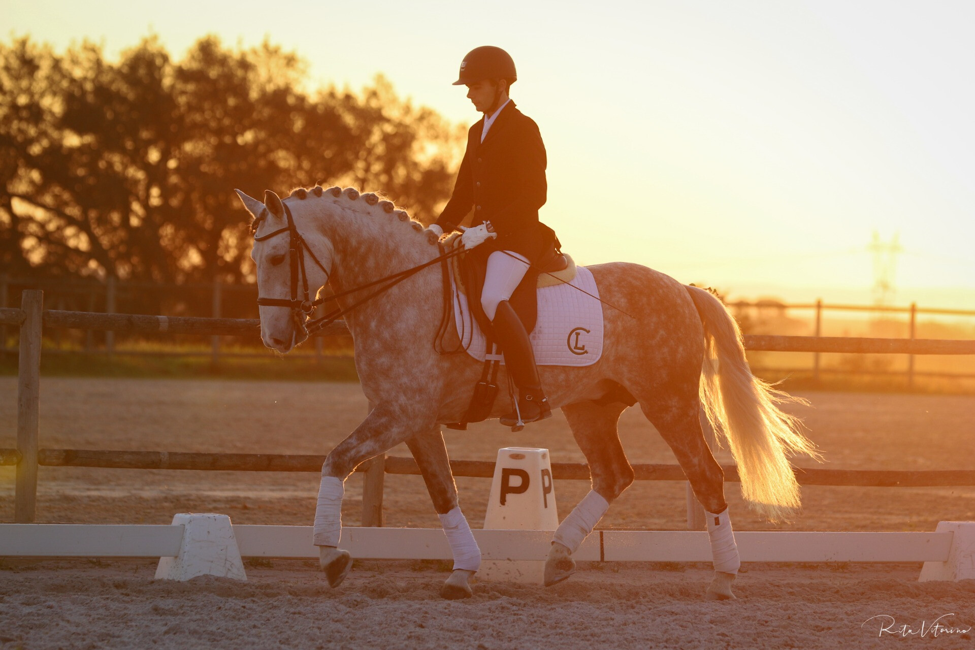 companhia das lezirias - Rita Vitorino (c) Lusitano World