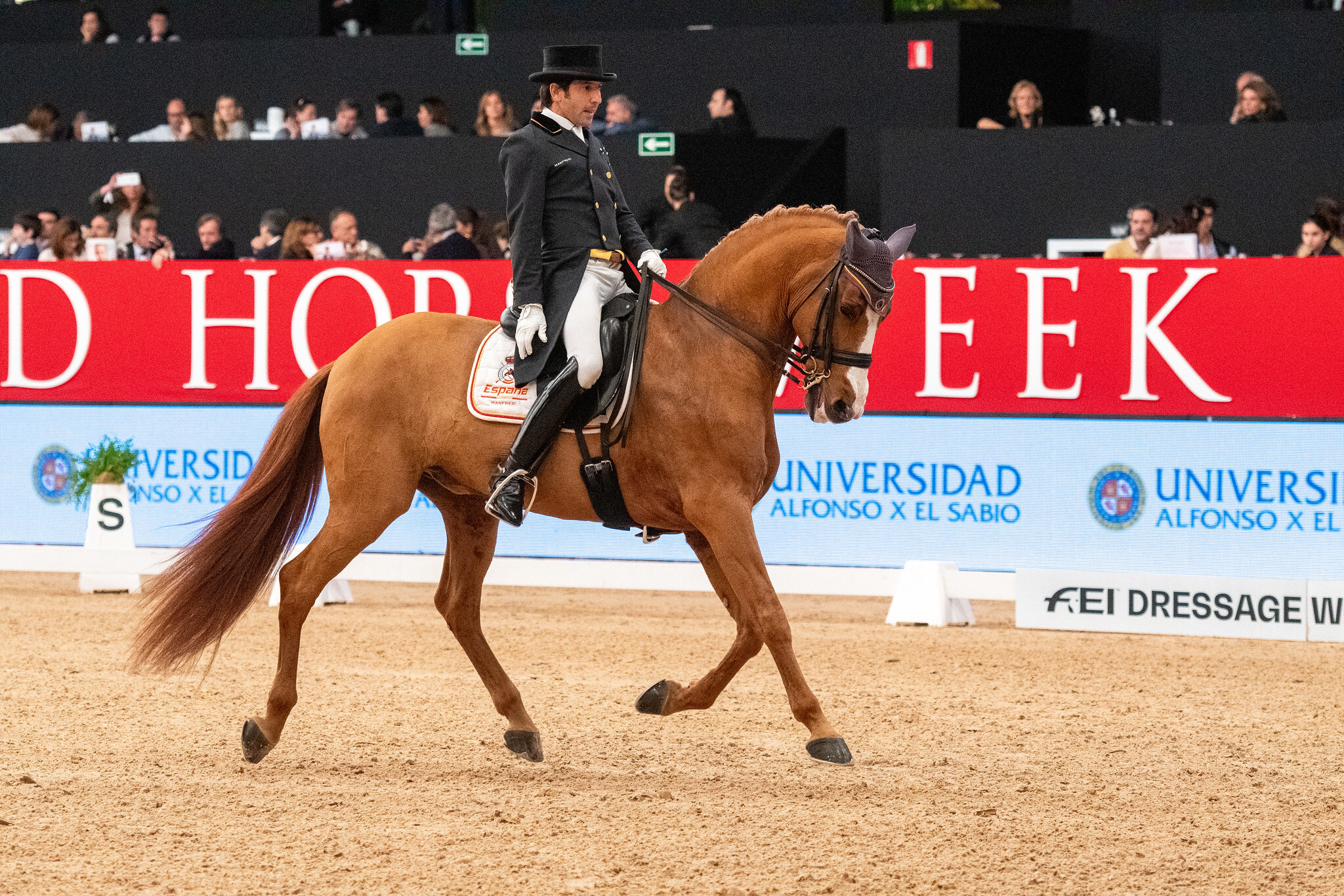 Claudio Castilla Ruiz e Alcaide
