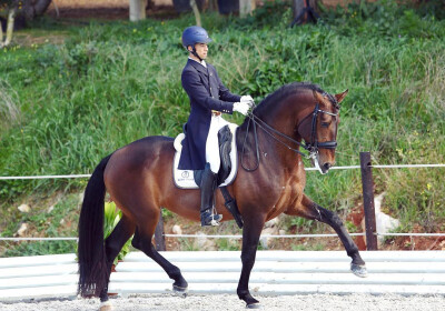 Portugueses em Mechelen