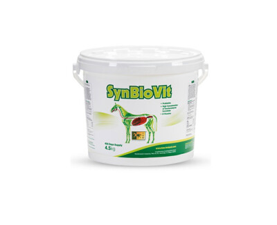 Como gerir a alimentação do cavalo para proteger a flora intestinal?