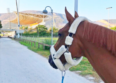 Portugueses no CSIO5* de Atenas