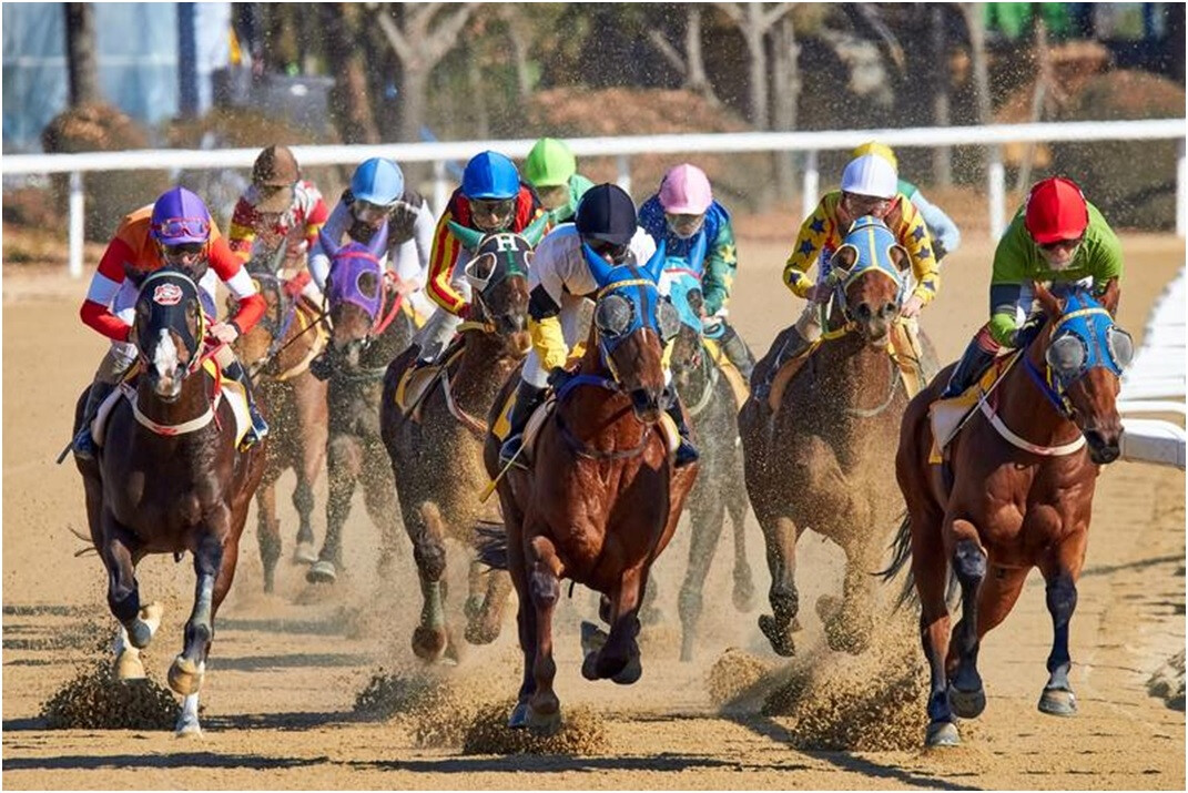 Corridas