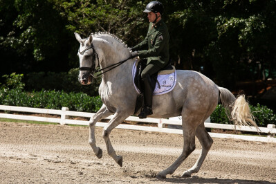Biso das Lezírias nos Pan-Americanos