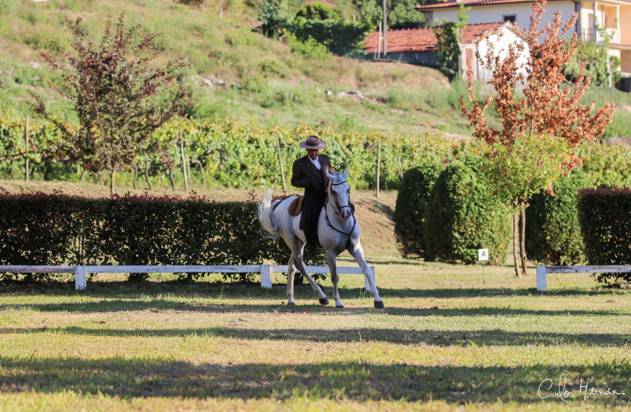Campeonato Regional Norte