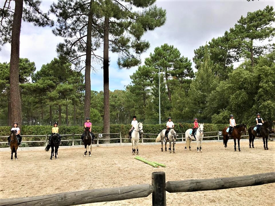 ninfa academia equestre