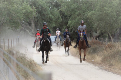 Alcácer recebe primeiro Raide internacional pós-covid