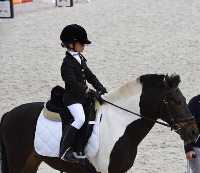 Troféu Dressage Póneis