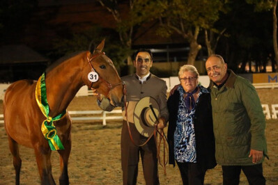 Haras Castanheiro domina Festival do Lusitano no Brasil
