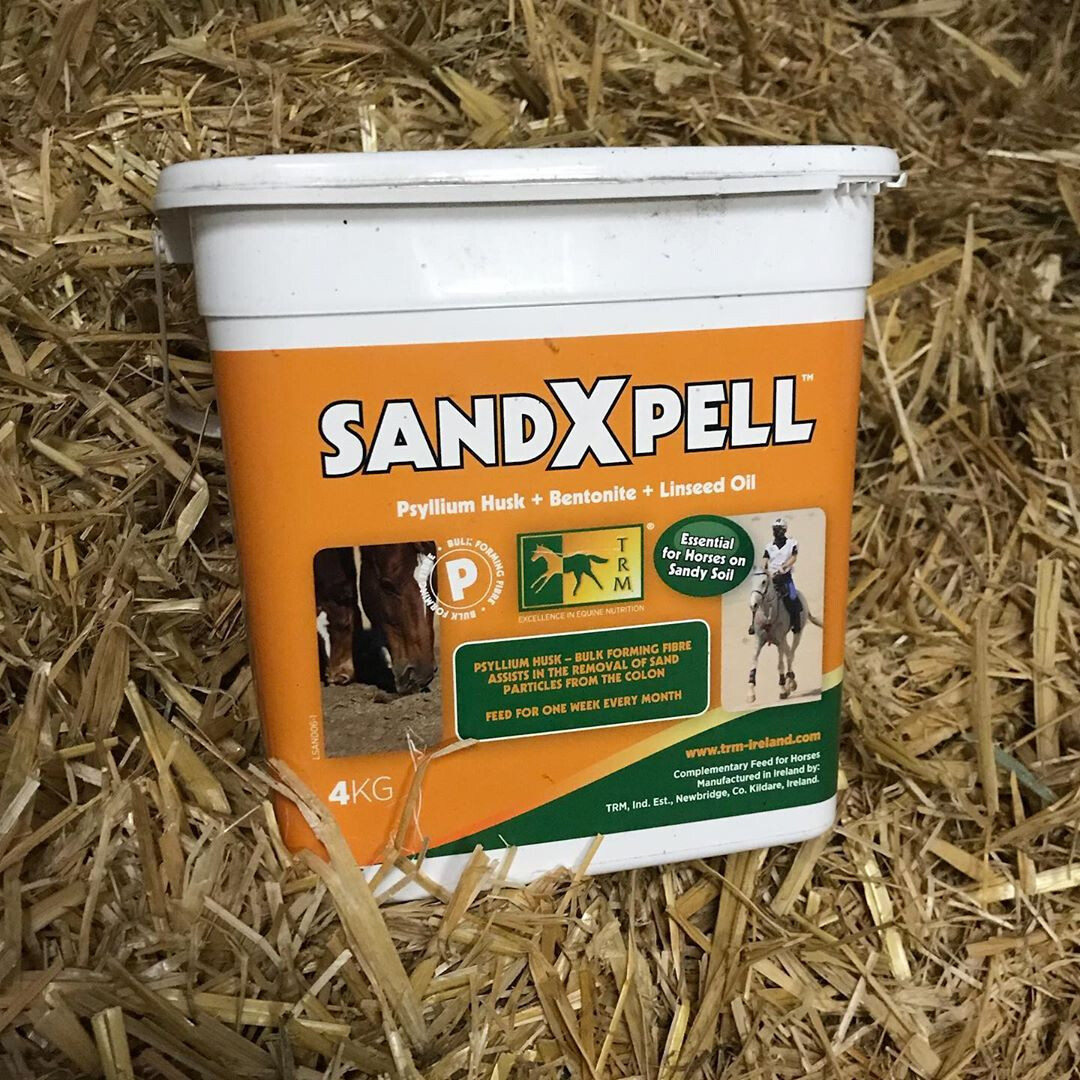 Sandxpell 2