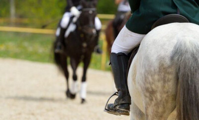 Dressage portuguesa no Luxemburgo