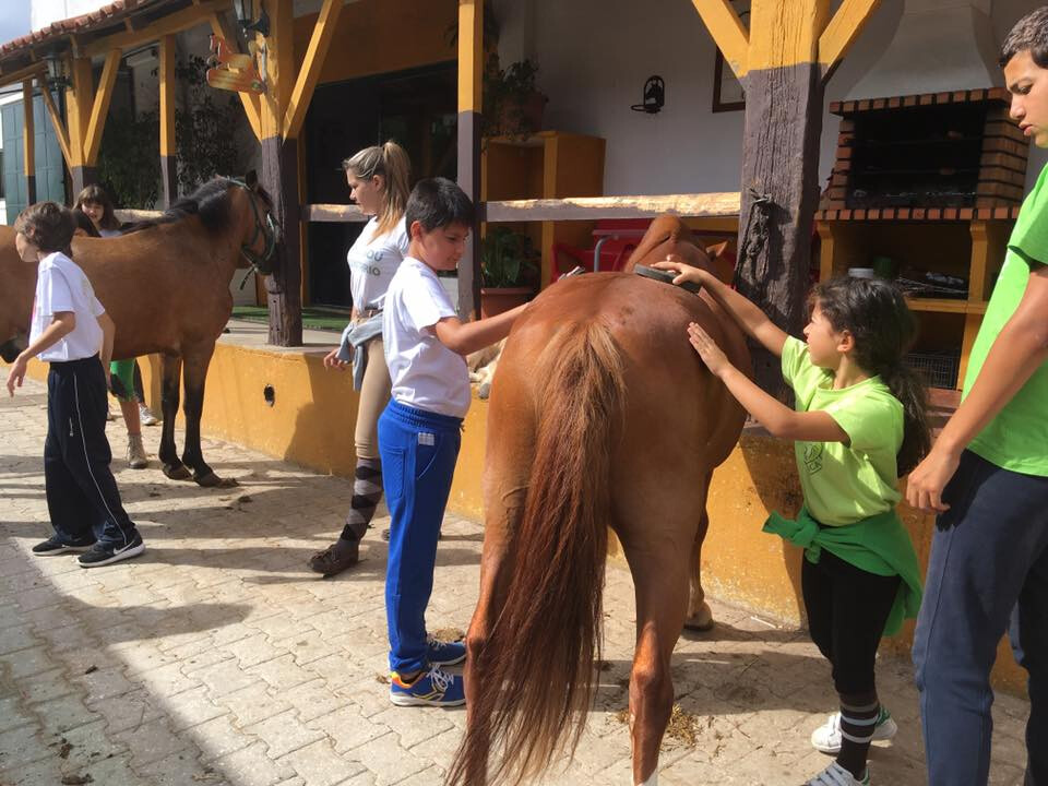 Férias a Galope 2018