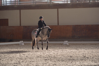 Troféu de Dressage Póneis chegou ao fim