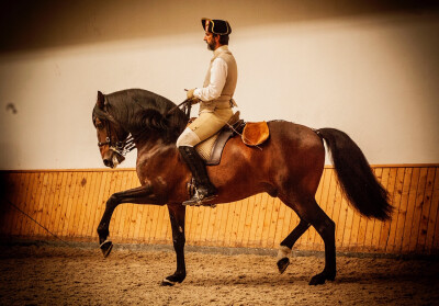 Fado e guitarradas ao vivo em Gala da EPAE