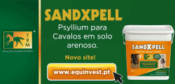 Banner_Equinvest