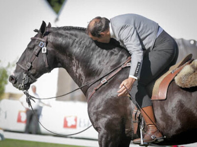 APSL distingue Funcionalidade do Cavalo Lusitano