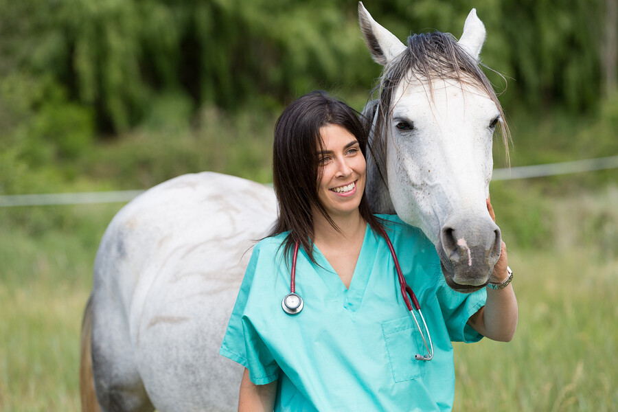 bigstock-Veterinary-On-A-Farm-104386697