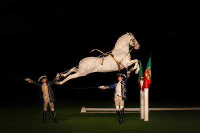 Gala Esplendor de Arte Equestre realiza-se na sexta-feira