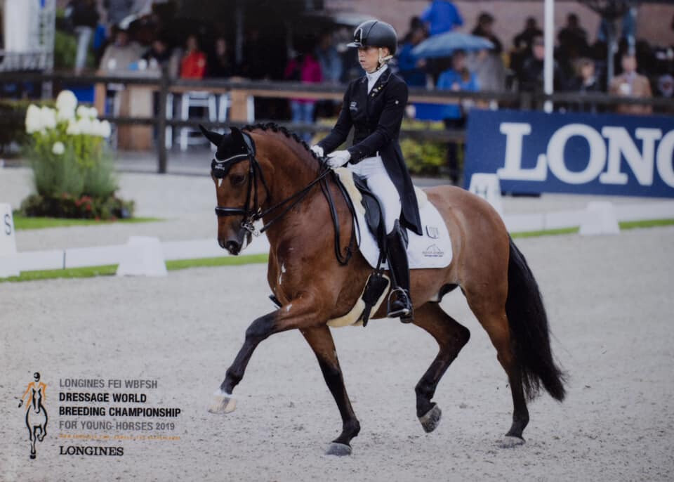 C&eacute;sar de Massa