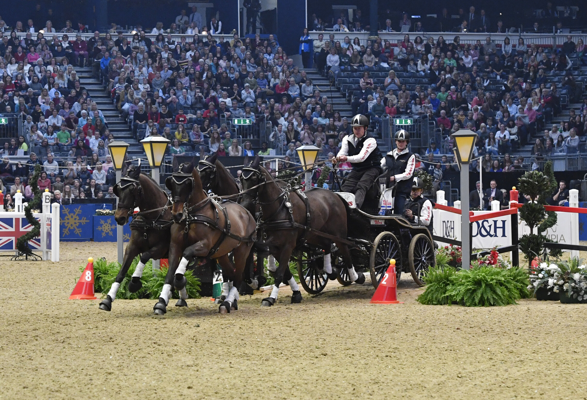 atrelagem olympia atrelagem olympia