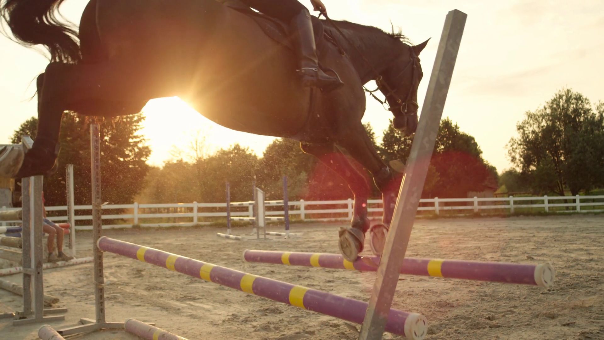 slow-motion-rider-and-a-horse-failing-jumping-over-a-fence-knocking-poles-down_rckpmnq6_thumbnail-full05