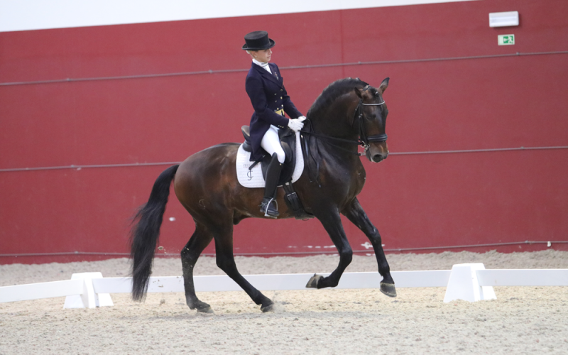Maria Caetano FENIX aURELio