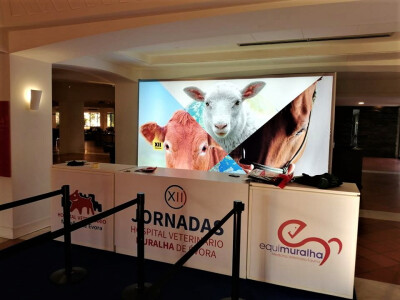 Sector debateu bem-estar equino