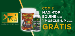 Banner_Equinvest