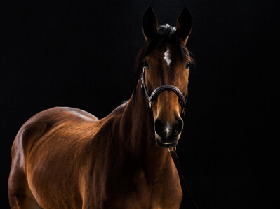 Fotógrafo português premiado