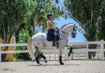 A forma segue a função