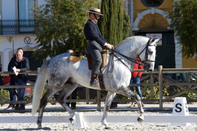 Ibérico II: garanhão aprovado com nota mais alta do dia