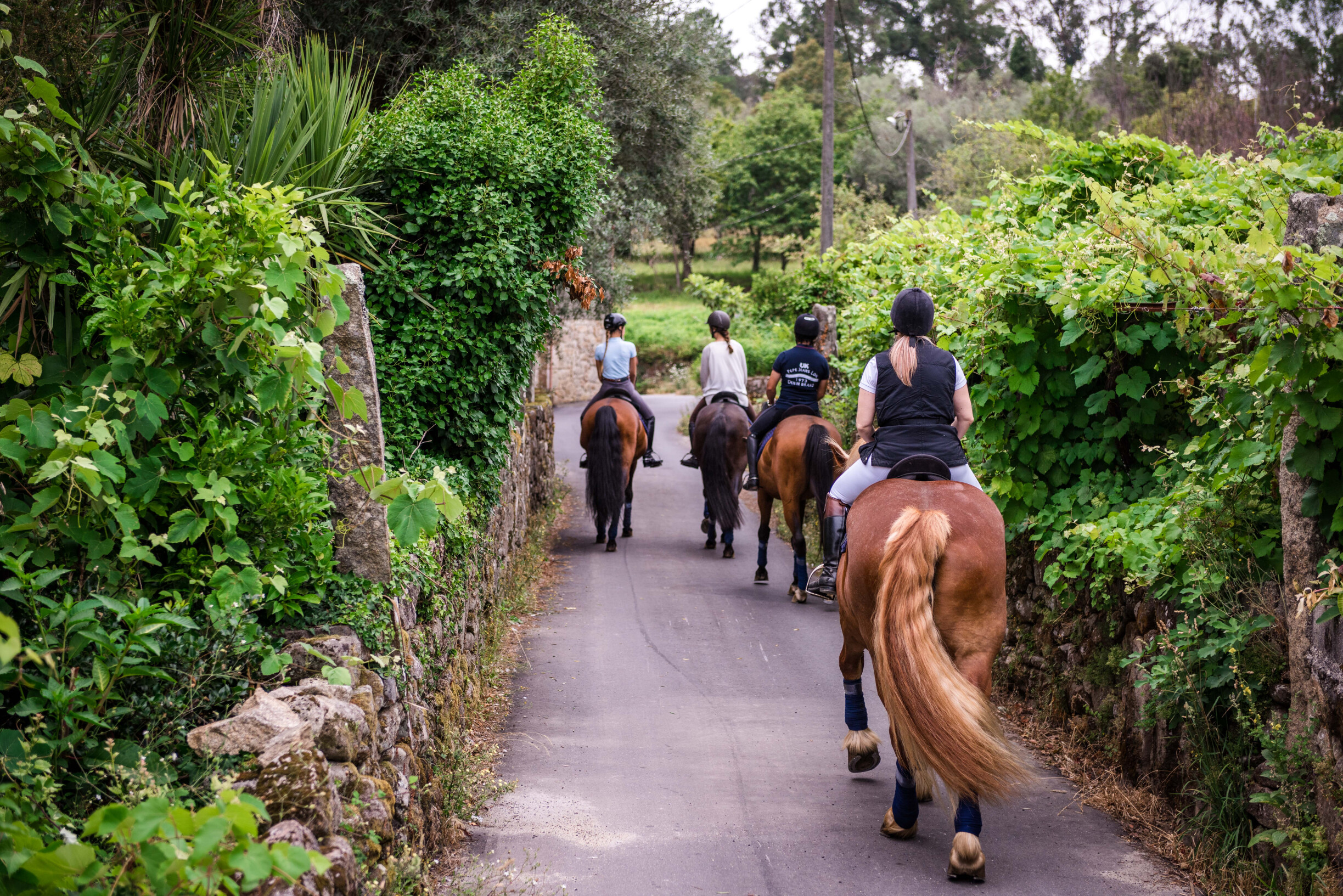Cerquido Village & Spa (3)