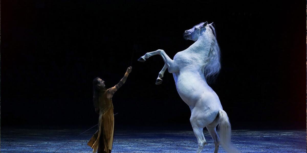 Cheval passion