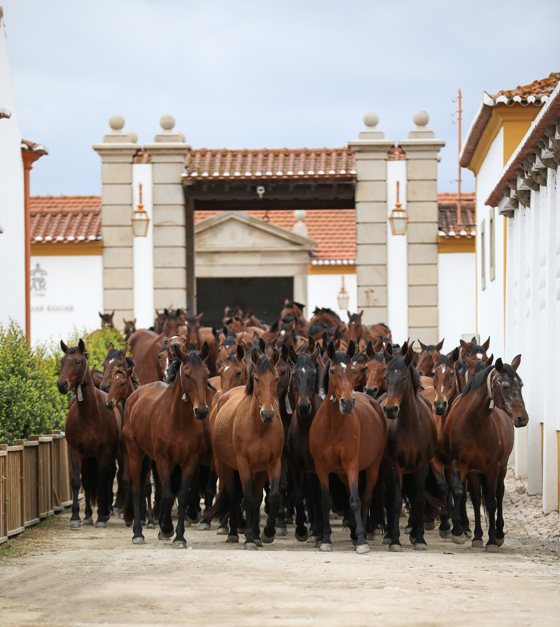 Foto eguada