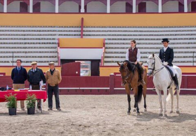 Concentração para admissão ao Livro Anexo do Cavalo Luso-Árabe