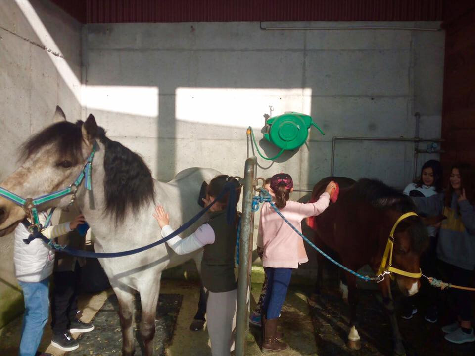 Pony Club do Porto