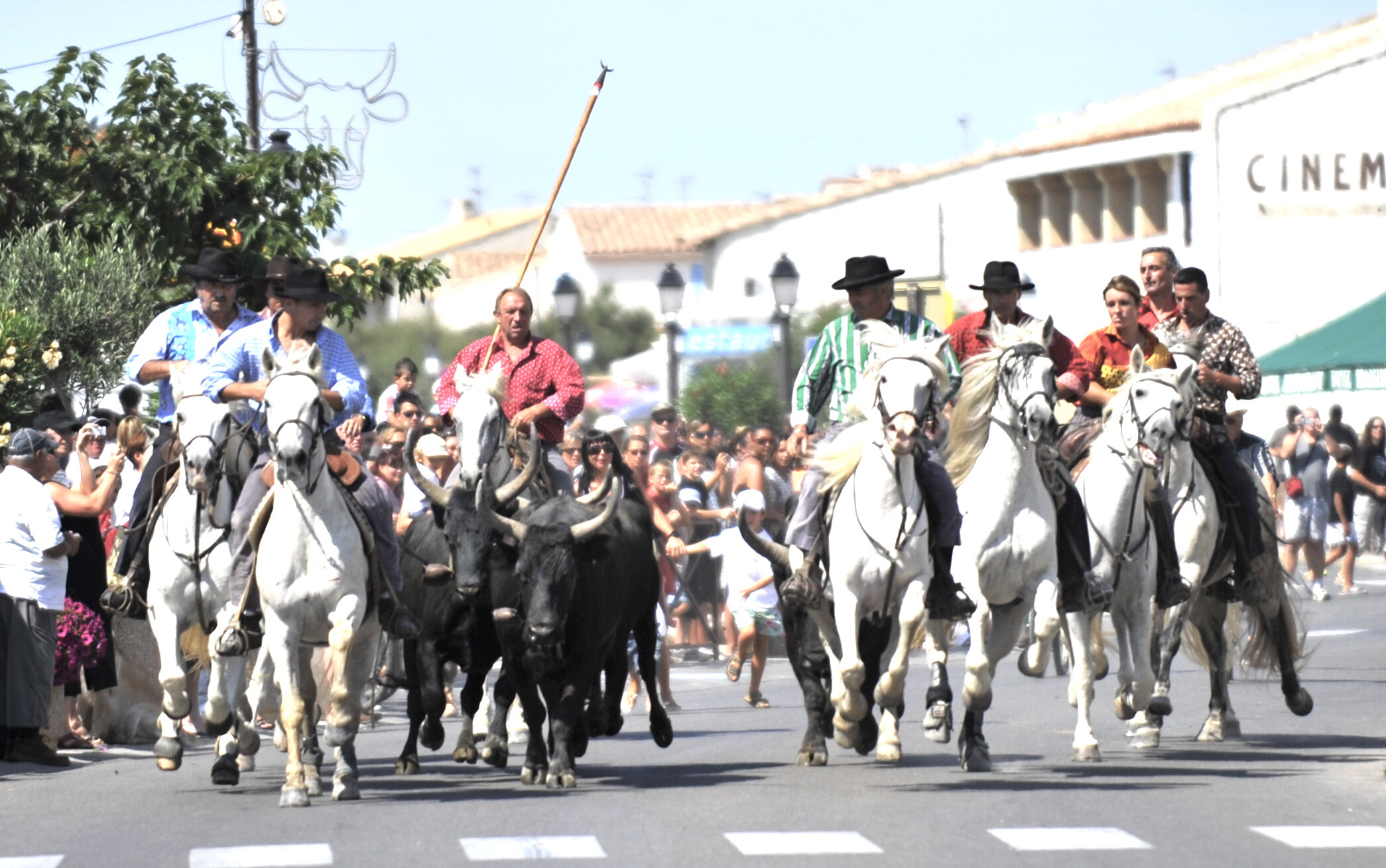Feria du cheval