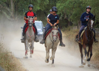 Equipa prepara-se para Europeu