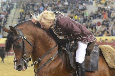 Admissão de reprodutores do Cavalo de Raça Luso-Árabe