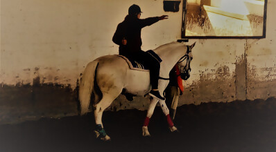 A hipoterapia na escola e algumas proposições de circunstância