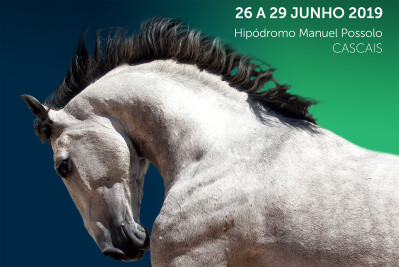 Festival do Cavalo Lusitano chega a Cascais no final do mês