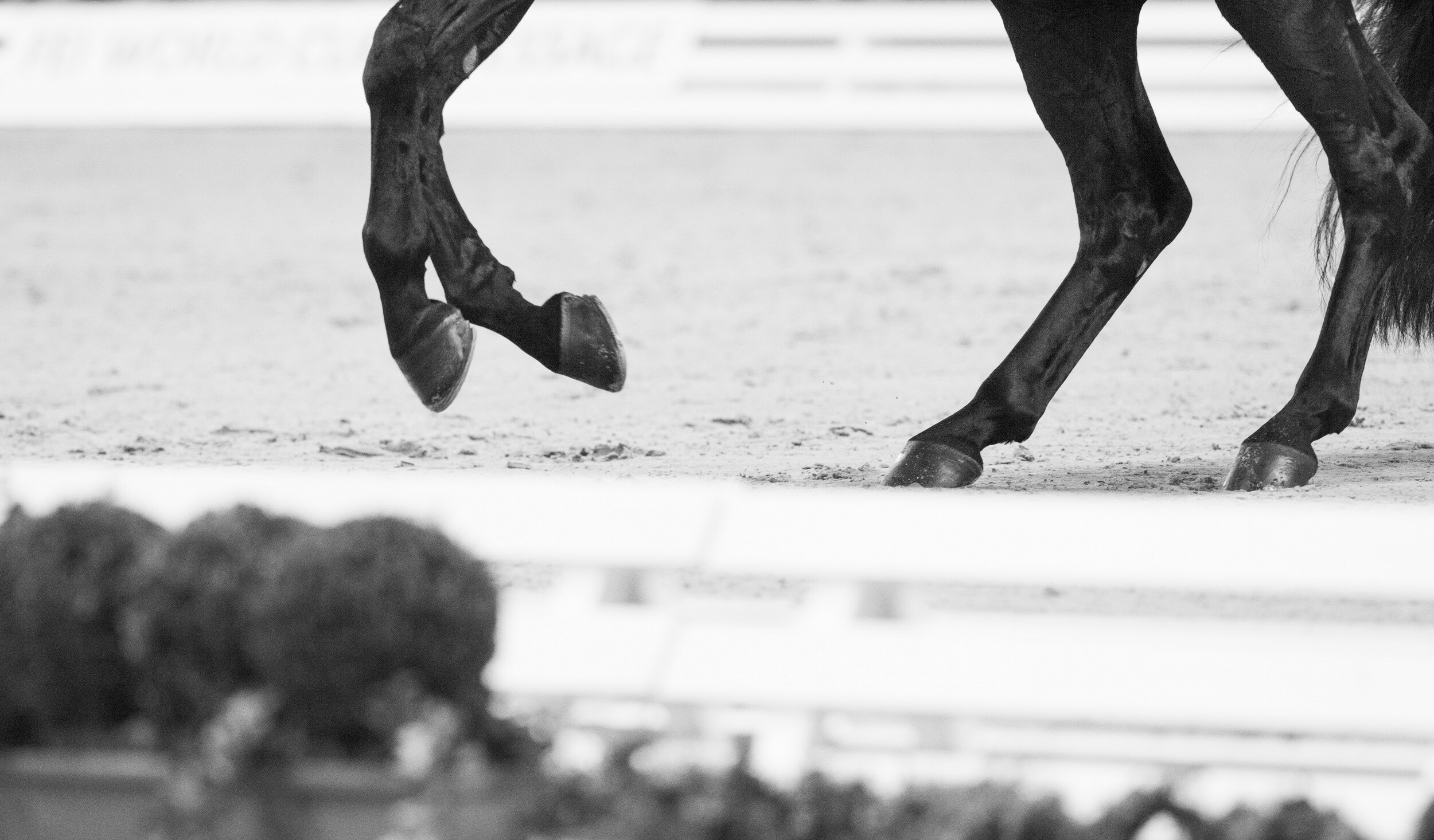 OTTO and FEI Campus footing advice