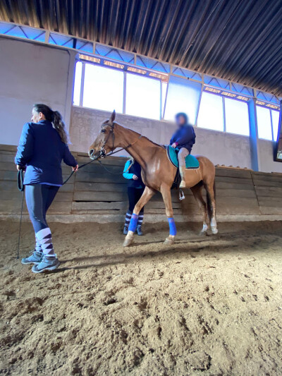 Centro Hípico da Sobreda com Terapia Assistida por Equinos