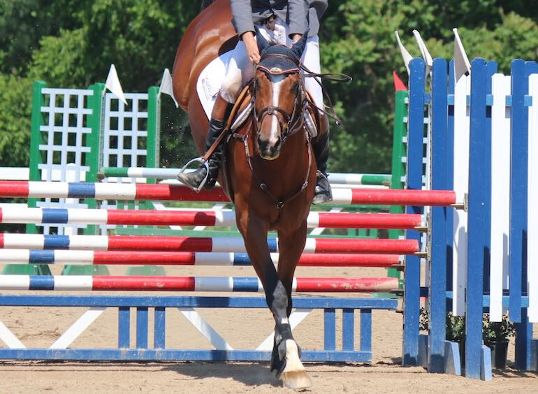 show-jumping