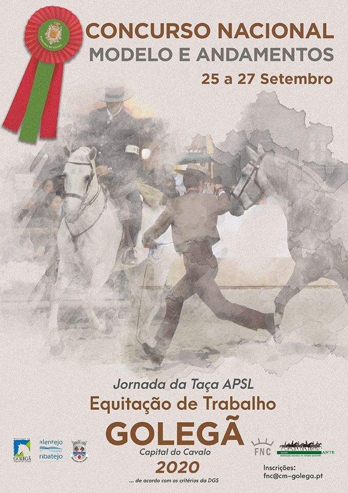 Modelo e andamentos
