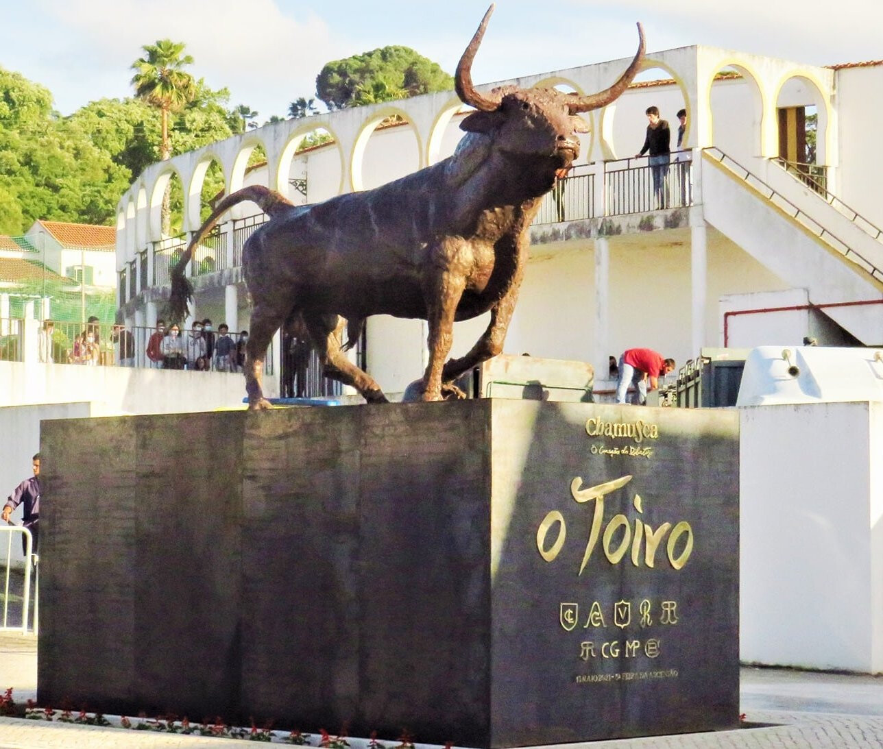 o toiro 02